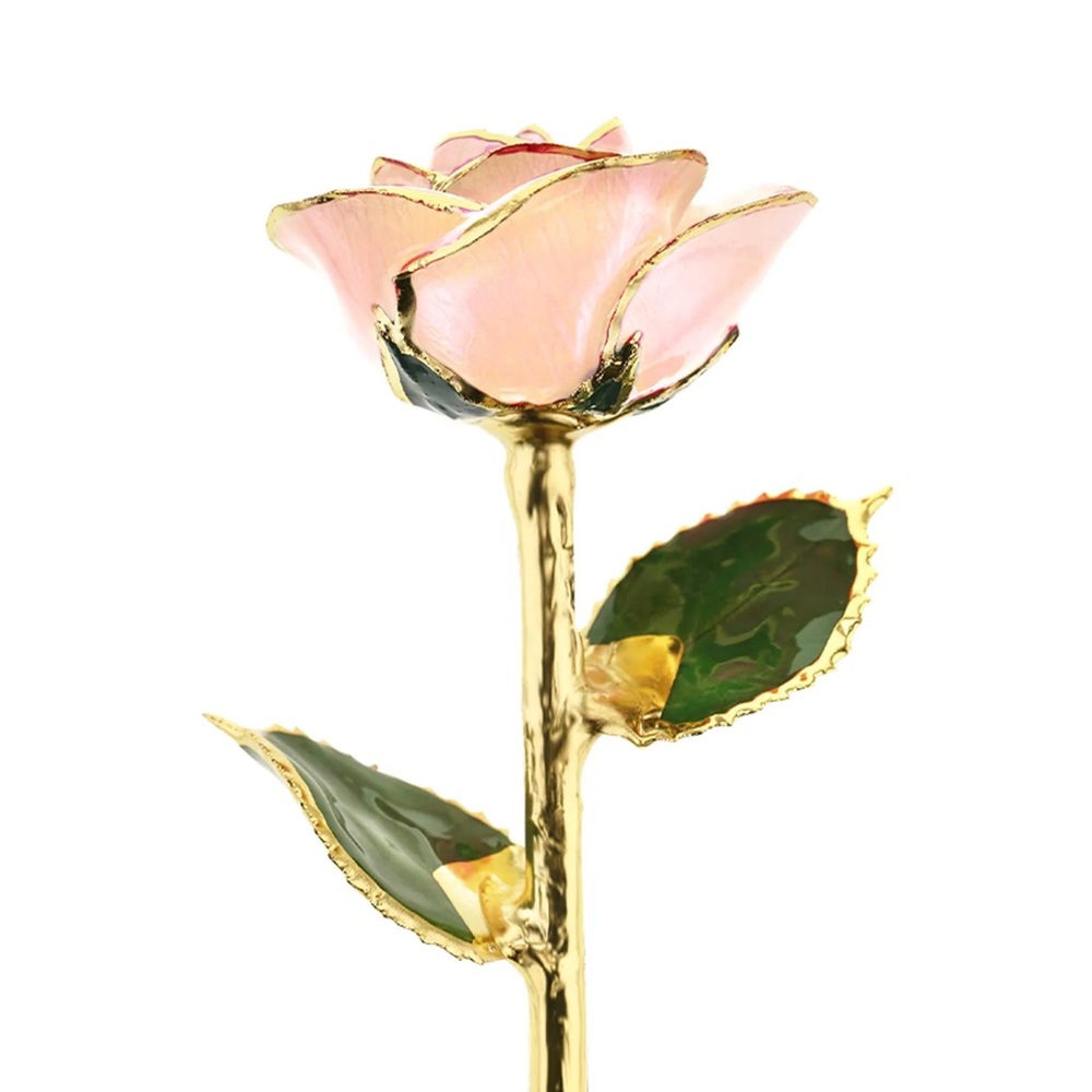 24kt gold dipped rose “Blush”